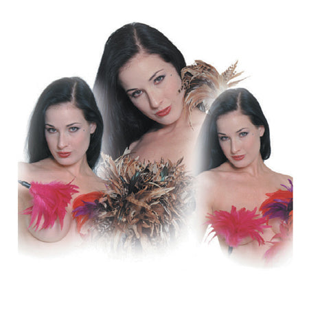 Sportsheets Pleasure Feather Tickler Red