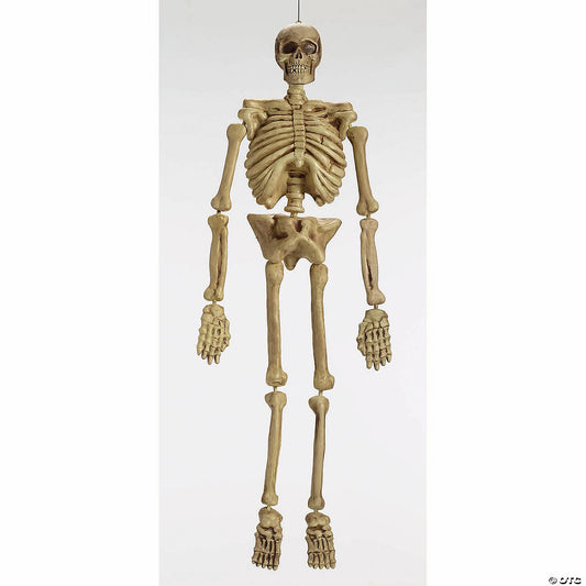 5' Realistic Skeleton  Pbh