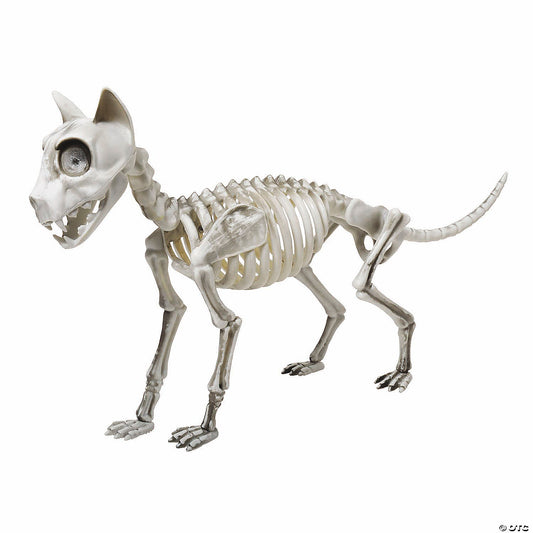 20" Skele-cat Decor