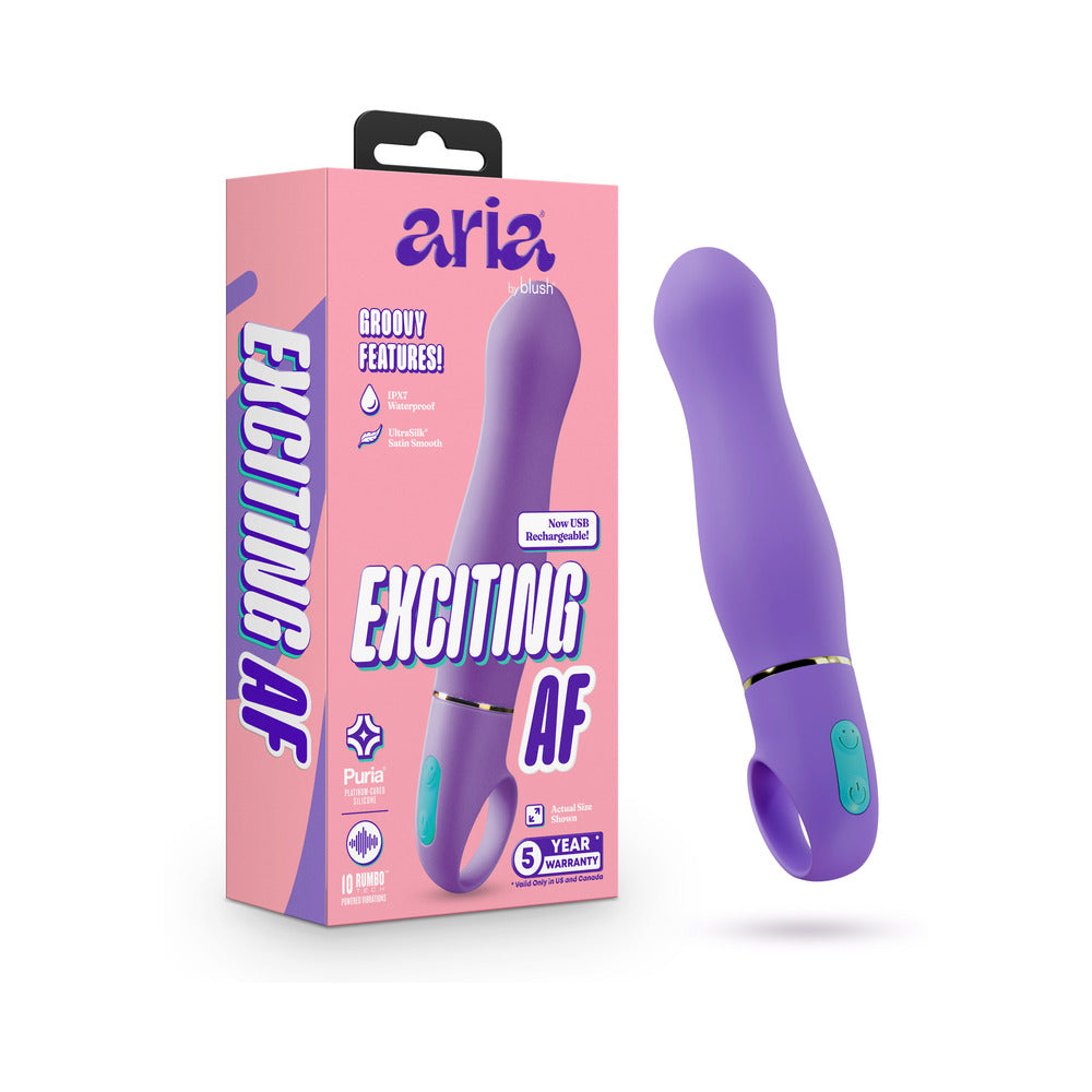 Aria Exciting AF 2.0 Rechargeable Vibe Indigo – Powerful Adult Pleasure Toy
