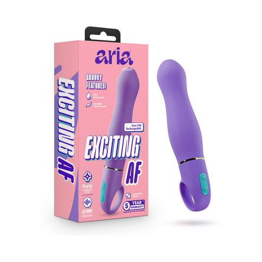 Aria Exciting AF 2.0 Rechargeable Vibe Indigo – Powerful Adult Pleasure Toy