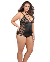 Kitten Ariane Teddy Black Qn
